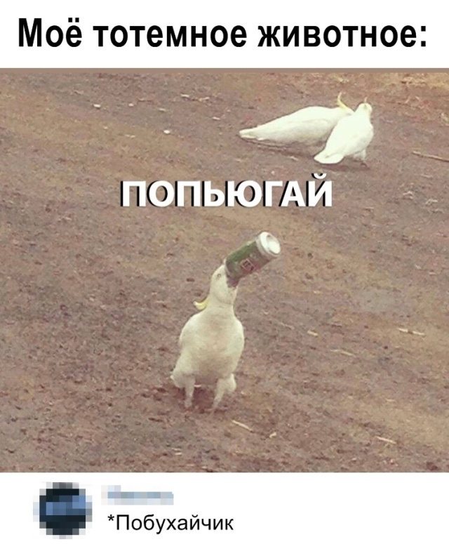 Подборка картинок. Вечерний выпуск (30 фото)