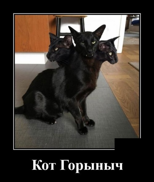 Демотиваторы (30 фото)