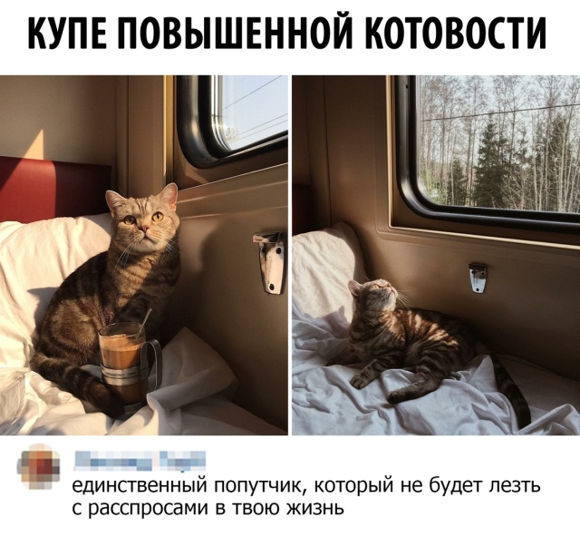 Подборка картинок. Вечерний выпуск (30 фото)
