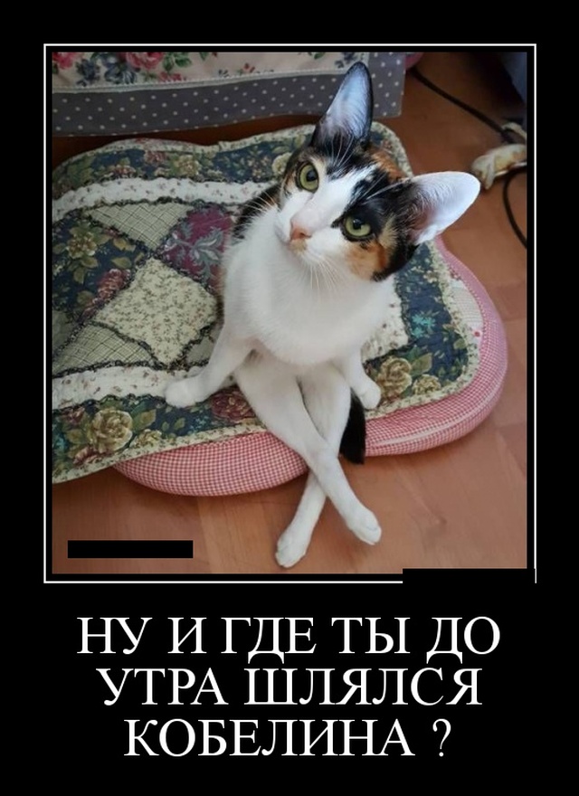 Демотиваторы (30 фото)