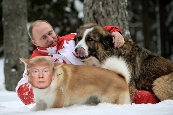Фотоотчёт: как проводят вместе время Владимир Путин и Дональд Трамп