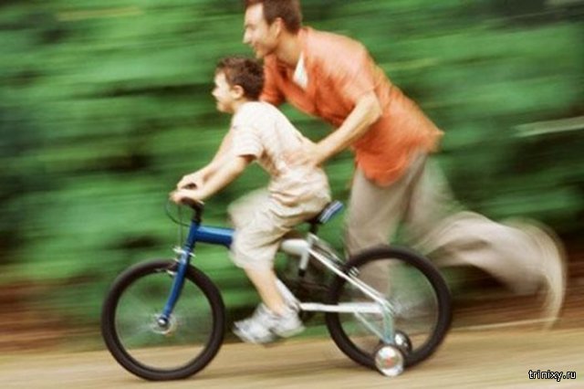 В школьные программы введут обучение езде на велосипеде