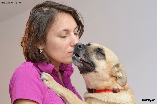 Московскую зоозащитницу признали виновной в краже собаки-поводыря у слепой женщины