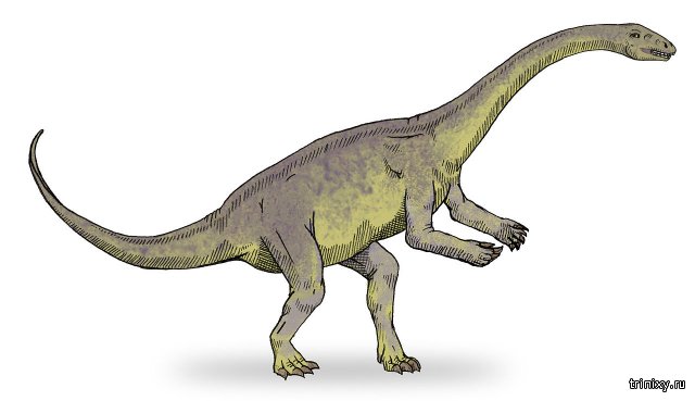 В Китае обнаружили окаменелости люфенгозавров