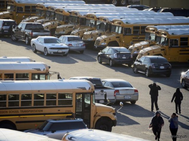 В Лос-Анджелесе из-за угрозы теракта закрыли все школы