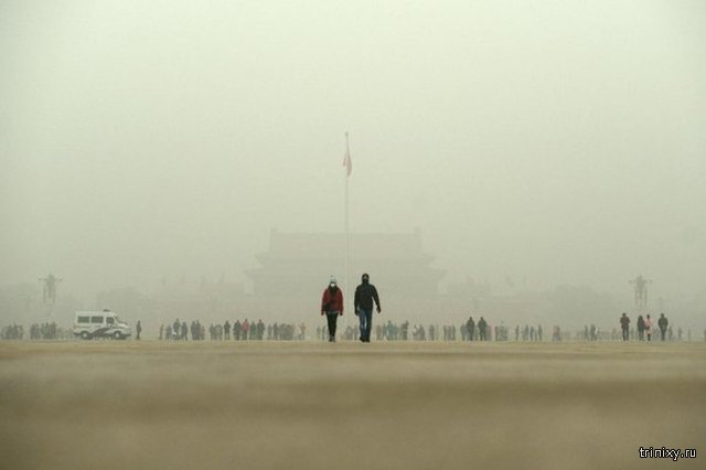 Китай вынужден покупать свежий воздух у Канады