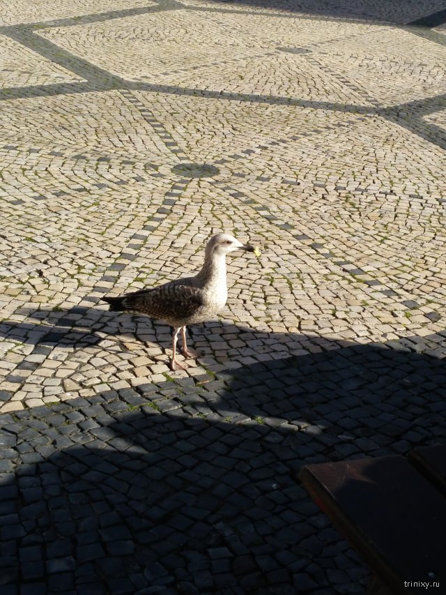 Прогулка по Порто Португалия. Часть 3