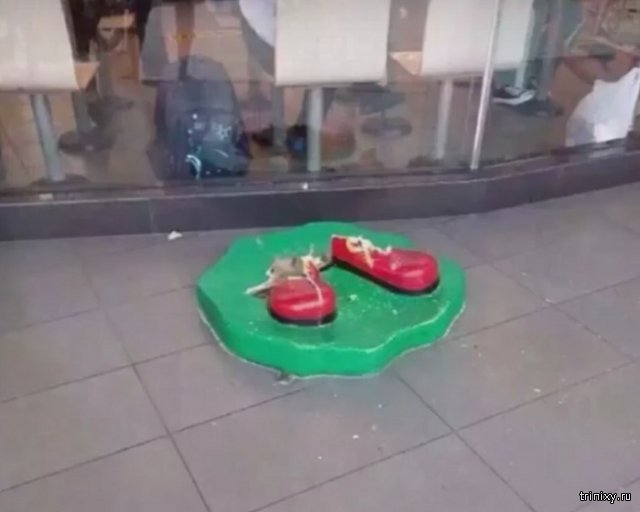 В Китае полицейские «арестовали» статую Рональда Макдональда В Китае полицейские «арестовали» статую Рональда Макдональда