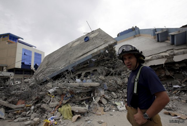 Пес в Эквадоре спас 7 человек из-под завалов
