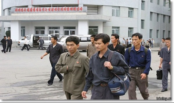 Северокорейская рабочая сила Монголии
