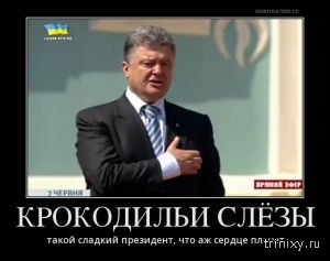 Демотиваторы про политику Украины!