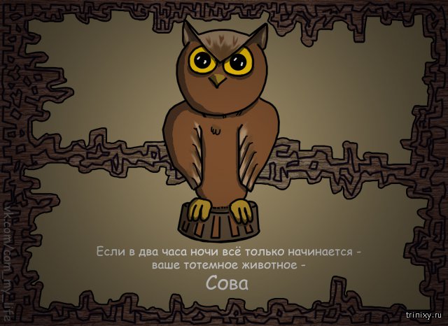 Определи свое тотемное животное Определи свое тотемное животное
