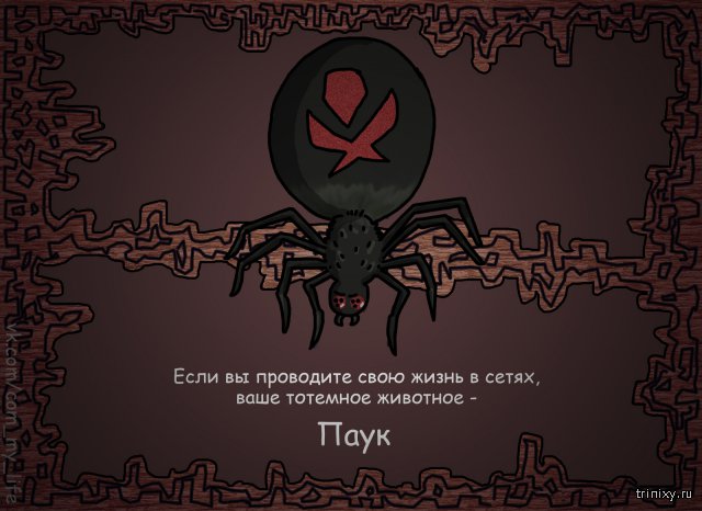 Определи свое тотемное животное Определи свое тотемное животное