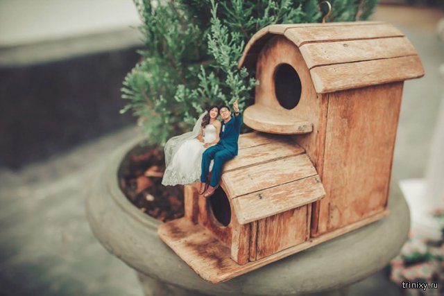 Лучшие идеи для свадьбы: снимки жениха и невесты в миниатюре