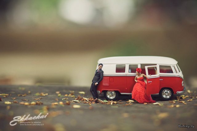 Лучшие идеи для свадьбы: снимки жениха и невесты в миниатюре