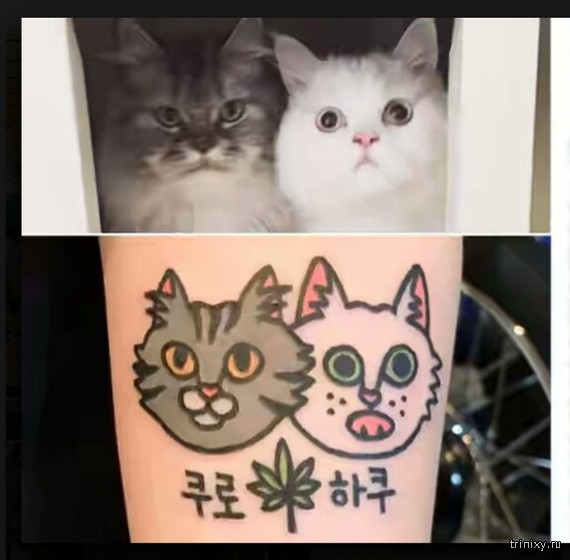 Забавные татуировки животных от корейского мастера