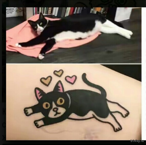 Забавные татуировки животных от корейского мастера
