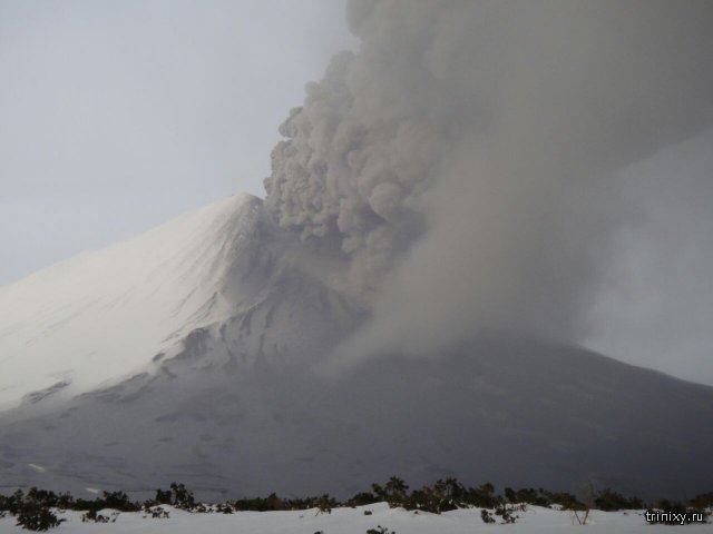 Извержение вулкана Камбальный на Камчатке