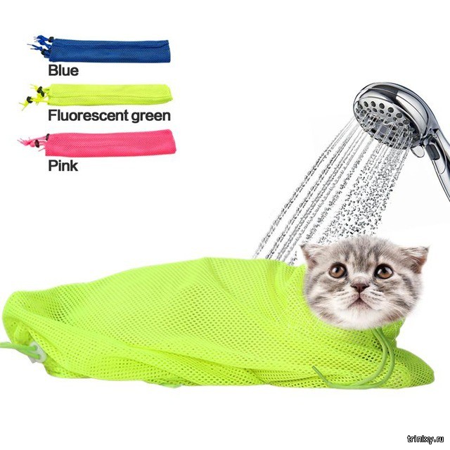 Креативный способ, как помыть своего котика