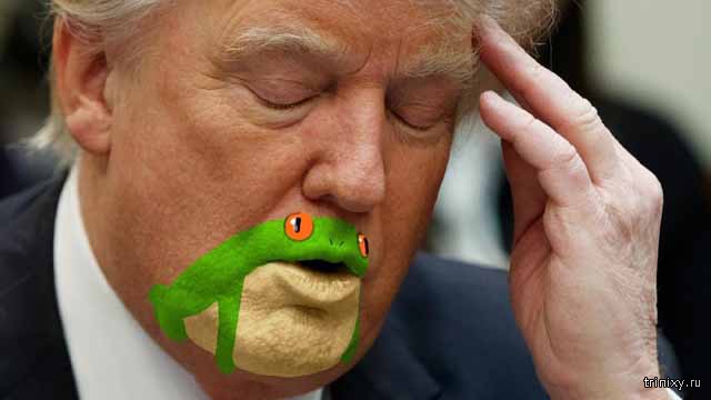 Фотожабы по превращению подбородка президента Трампа - в жабу