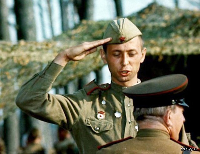 14 душераздирающих фильмов о Великой Отечественной войне