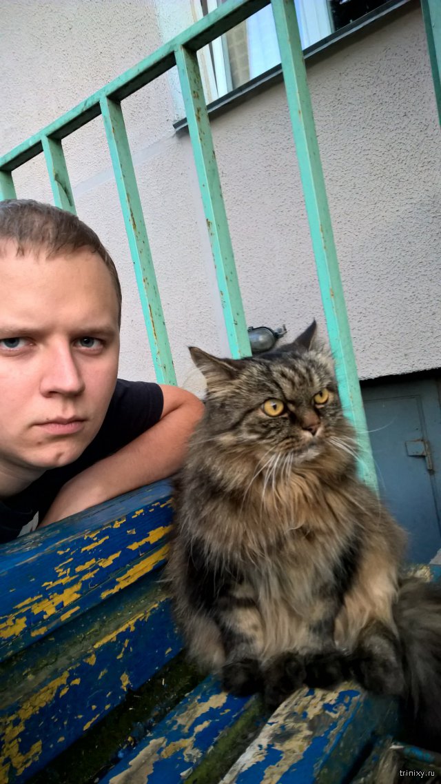 Суровый белорусский котик