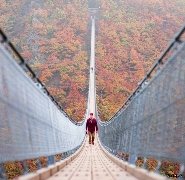 Атмосферный мост в Германии