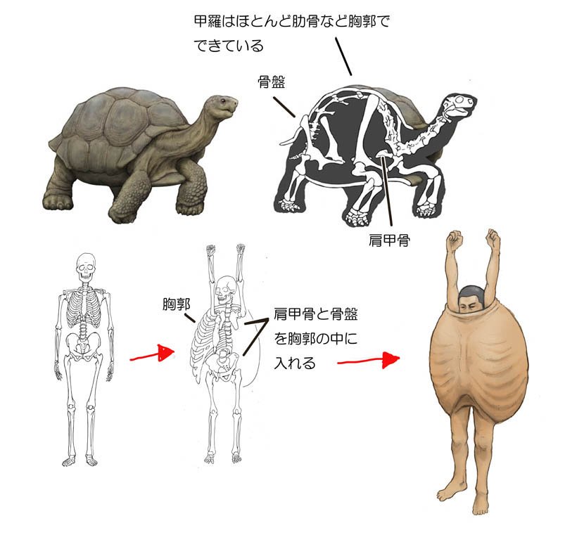 Фантазия японского художника: что было бы, если человек будет похож на животное?