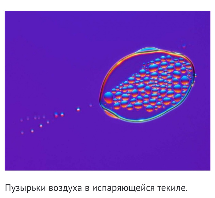 Окружающий мир под микроскопом