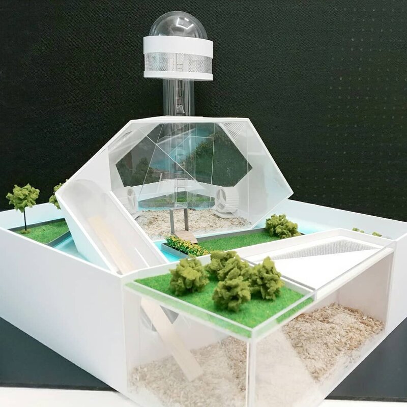 Дизайнеры из Южной Кореи строят элитные особняки для хомяков