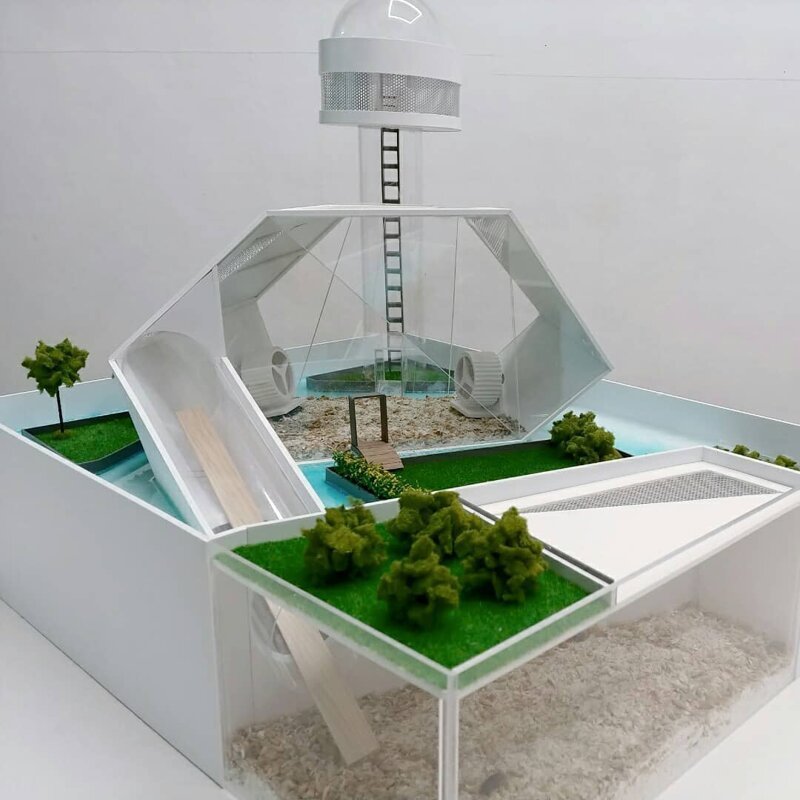 Дизайнеры из Южной Кореи строят элитные особняки для хомяков