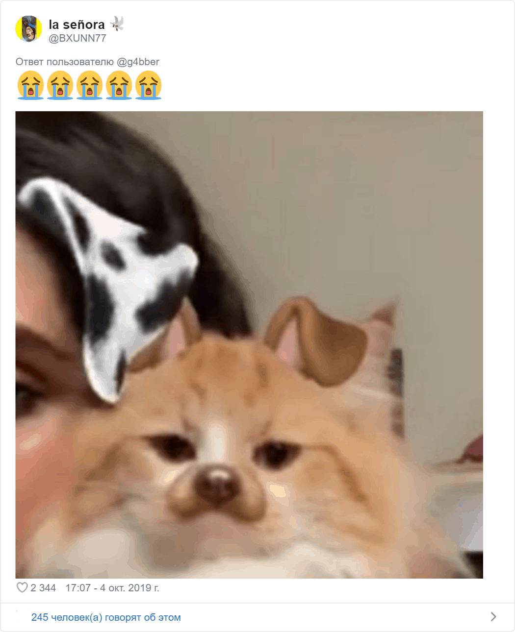 Фильтры Snapchat опробовали на животных