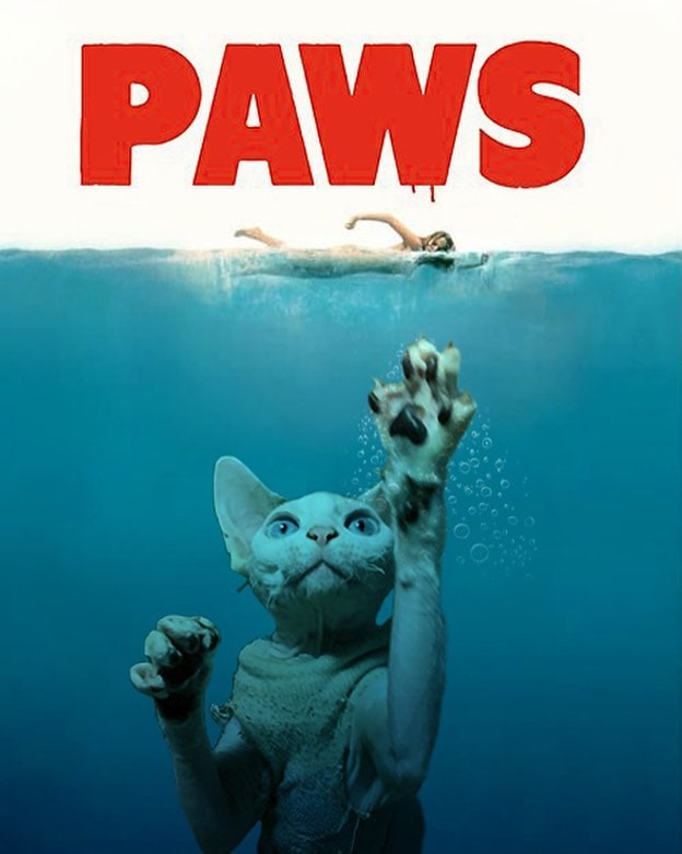 Фотограф показал, как выглядели бы постеры популярных фильмов, если бы в них снимался его кот