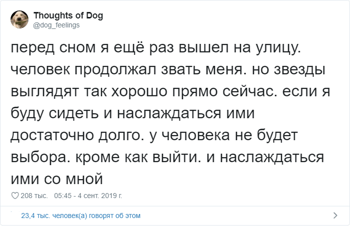 Мысли собаки: странный и милый аккаунт в Твиттере