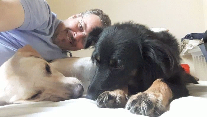 Бразильский священник спасает бездомных собак