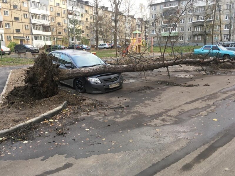 Ураган в Ярославле повалил деревья, сломал светофоры и вырвал остановки