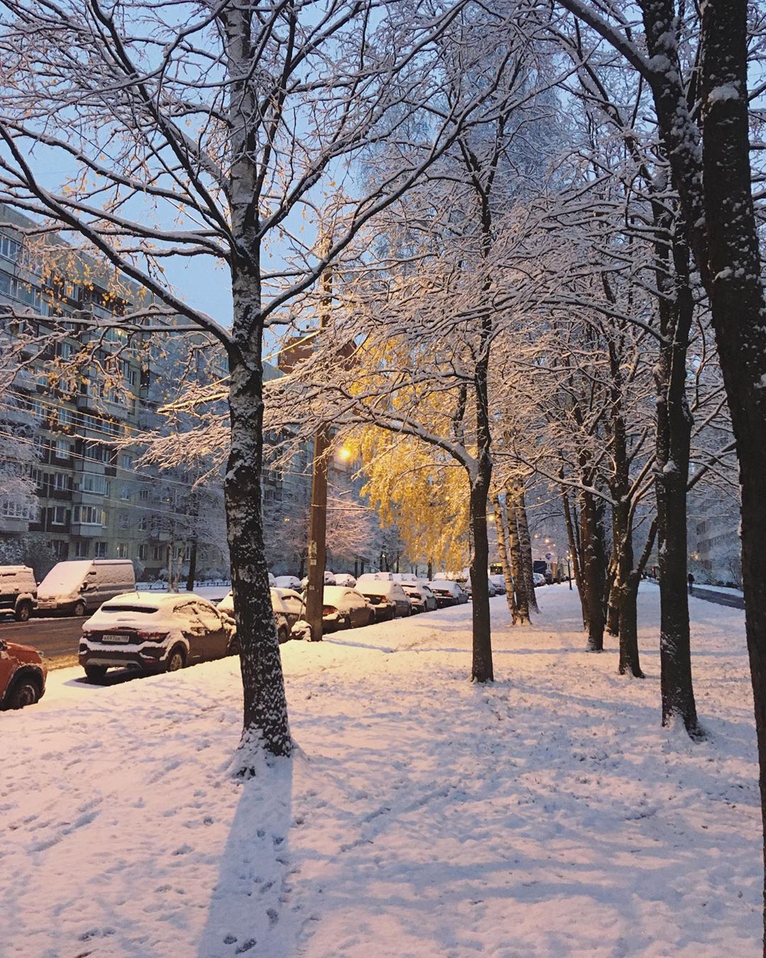 Петербуржцы делятся фотографиями первого снега