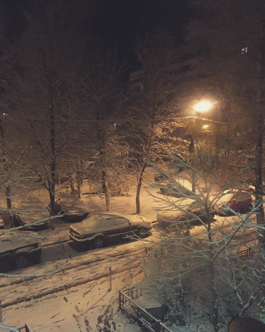 Петербуржцы делятся фотографиями первого снега
