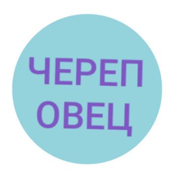 В Сети отреагировали на новый логотип Петербурга, который стоил 7 миллионов