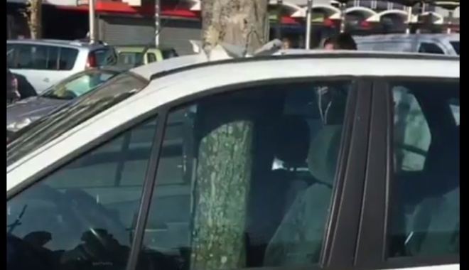 Как вообще дерево могло так войти в машину?