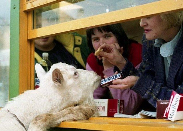 Неопределенность