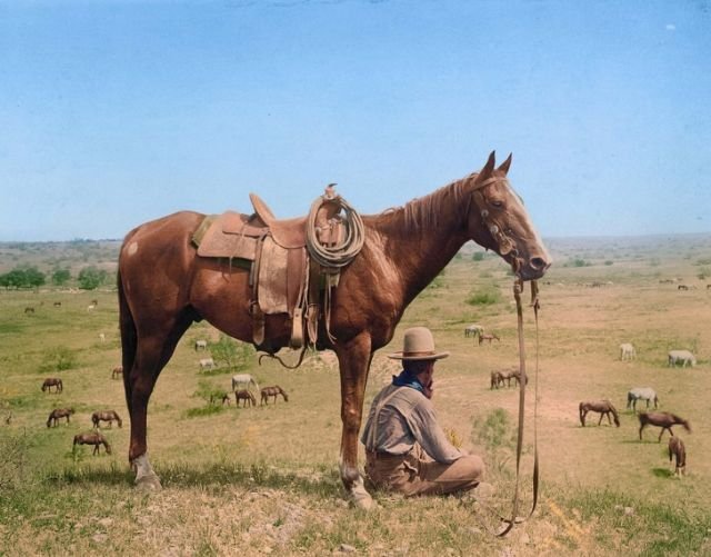 Один из последних ковбоев умирающего Дикого Запада, 1910 год