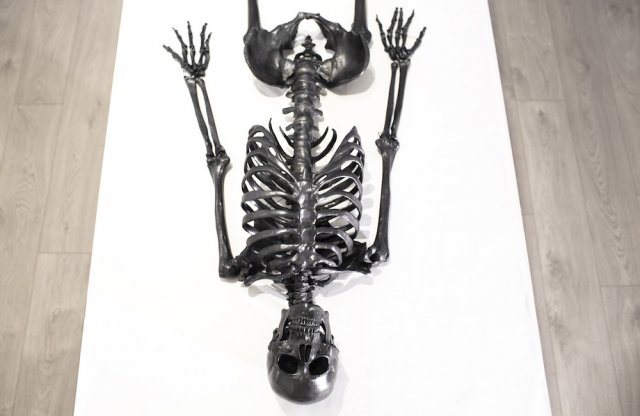 Самопишущий скелет