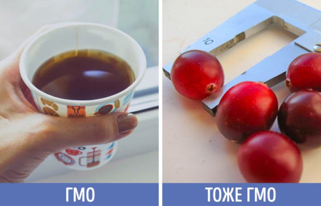 Натуральные продукты - это тоже ГМО