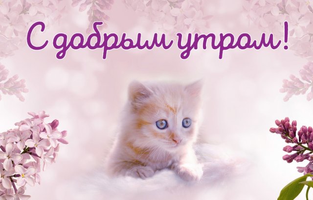 Неуместные открытки