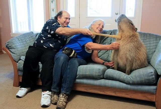 Гэри