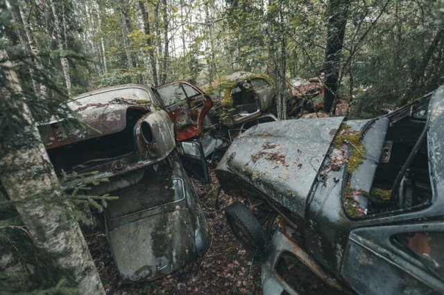Кладбище ретро-автомобилей в лесу Швеции