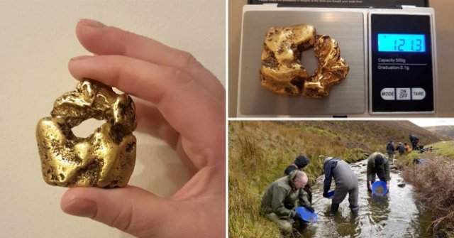 Золотоискатель нашел в реке «пончик», который у него хочет отобрать правительство