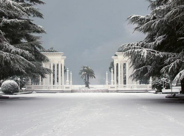 Пальмы и снег. Как зимуют в Абхазии