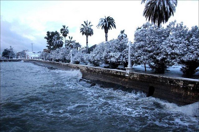 Пальмы и снег. Как зимуют в Абхазии